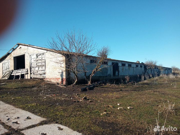 Здания на разбор