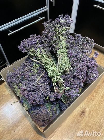 Душица, зверобой, чабрец