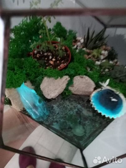 Флорариумы, моссариумы, подарки
