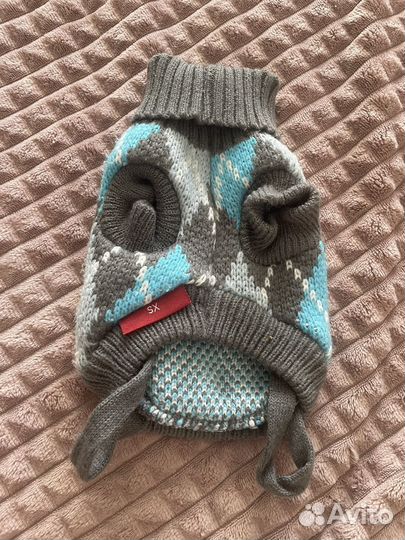 Одежда для маленьких собак и кошек