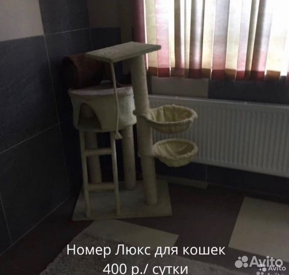 Гостиница для животных