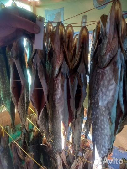 Рыба Щука вяленая