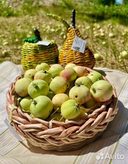 Корзинки плетенные