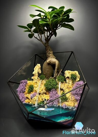Флорариум 