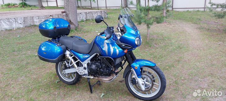 Triumph Tiger 955i