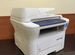 Мфу Xerox workcentre 3220DN