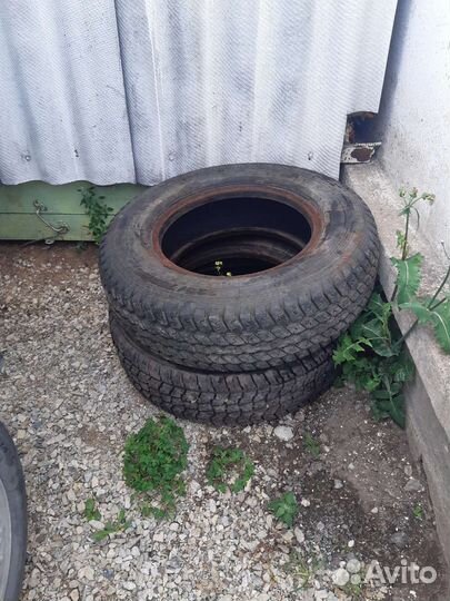 Шины волдай