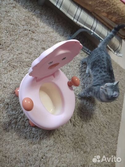 Детский горшок унитаз