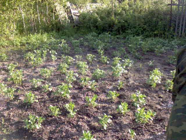 Дача 20 м² на участке 9 сот.