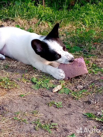 Маленькая девочка