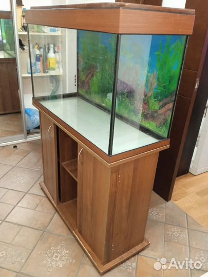Аквариум