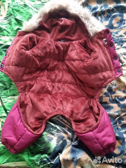 Одежда для собак