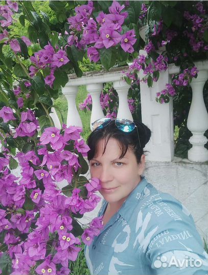 Передержка животных на время отпуска