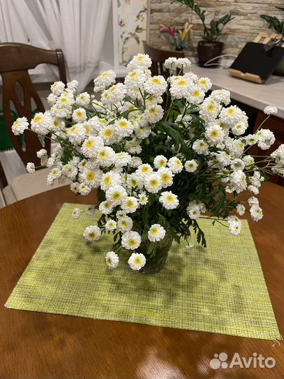 Многолетние цветы для сада