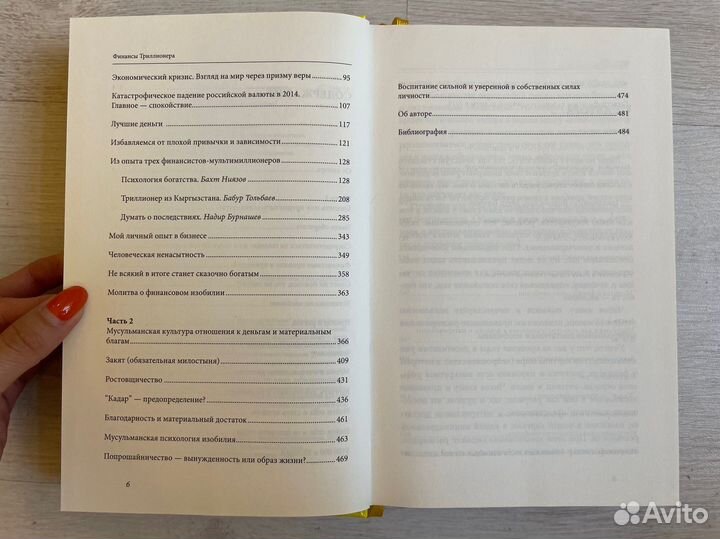 Финансы триллионера. Аляутдинов Ш