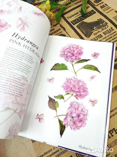 A-Z of Flower Portraits by Billy Showell