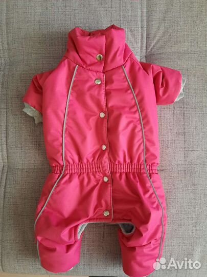 Комбинезон для маленькой собаки зима