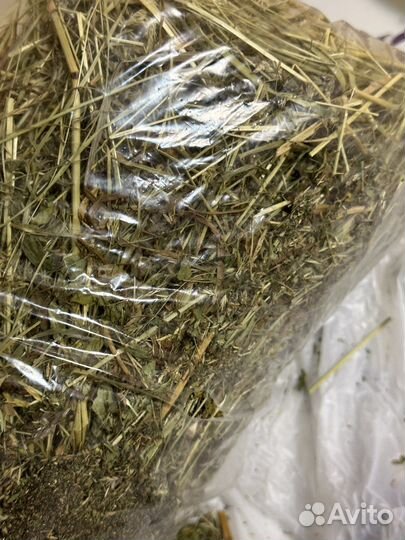 Клетка для грызунов бу