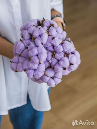 Сухоцветы хлопок букет