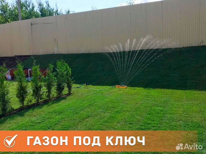 Газон рулонный по ключ