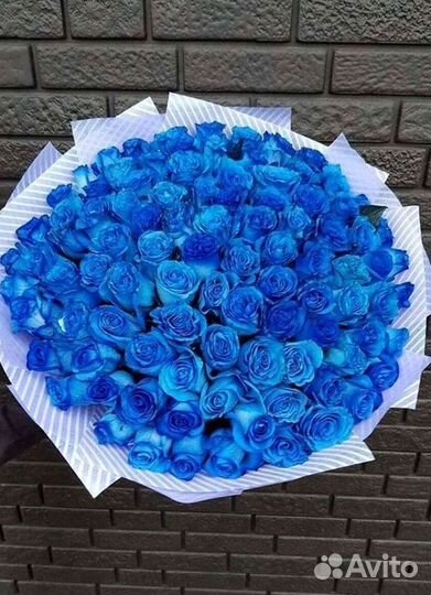 Синие розы Цветы Доставка