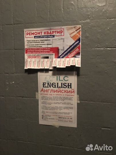 Расклейка объявлений в Москве, Московской области