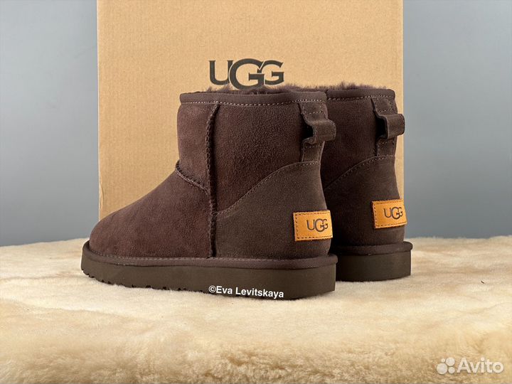 Угги женские Ugg Classic Mini II Chocolate