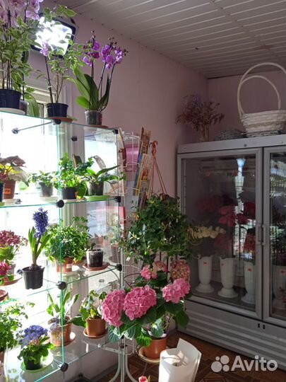 Продам готовый цветочный бизнес