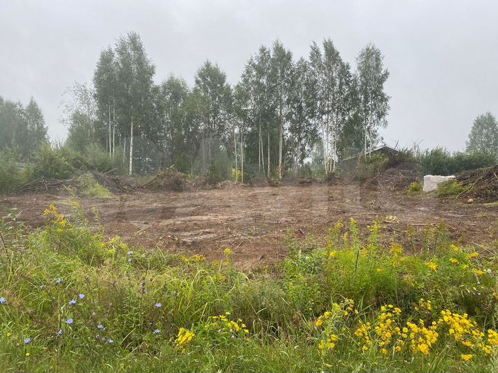 Участок 10 сот. (ИЖС)