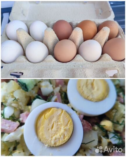 Ветчина домашняя, Домашние куриные яйца