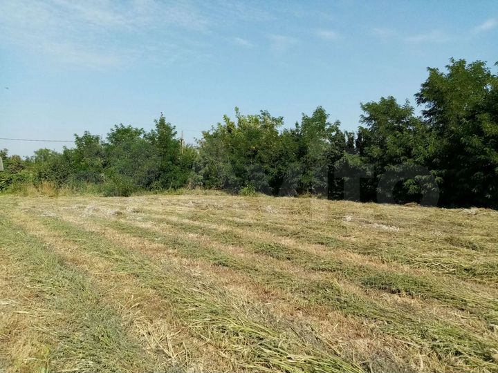 Участок 37 сот. (ИЖС)