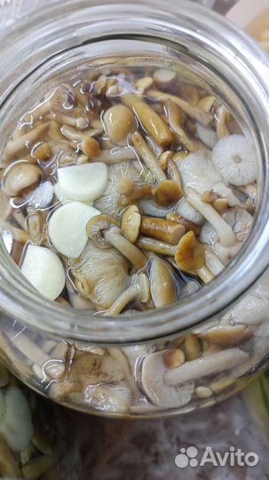 Грибы соленые, маринованные