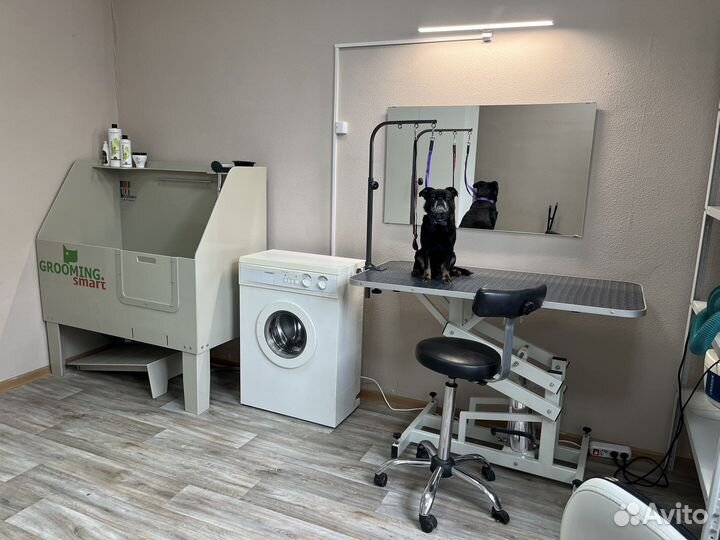 Груминг кошек и собак