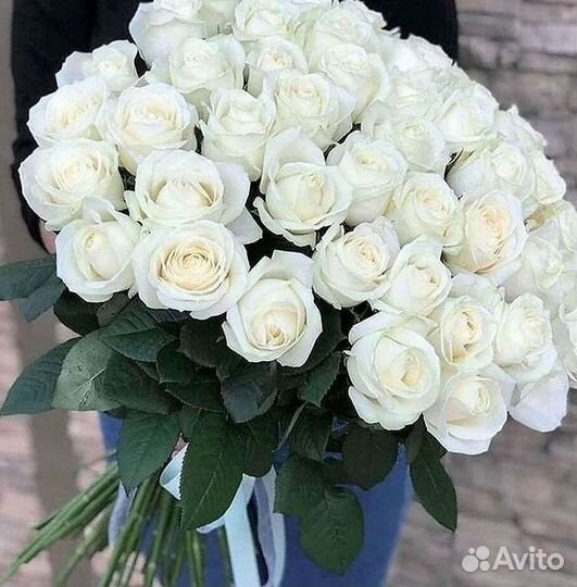 Высокие Розы с Доставкой