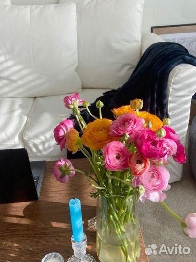 Ранункулюсы