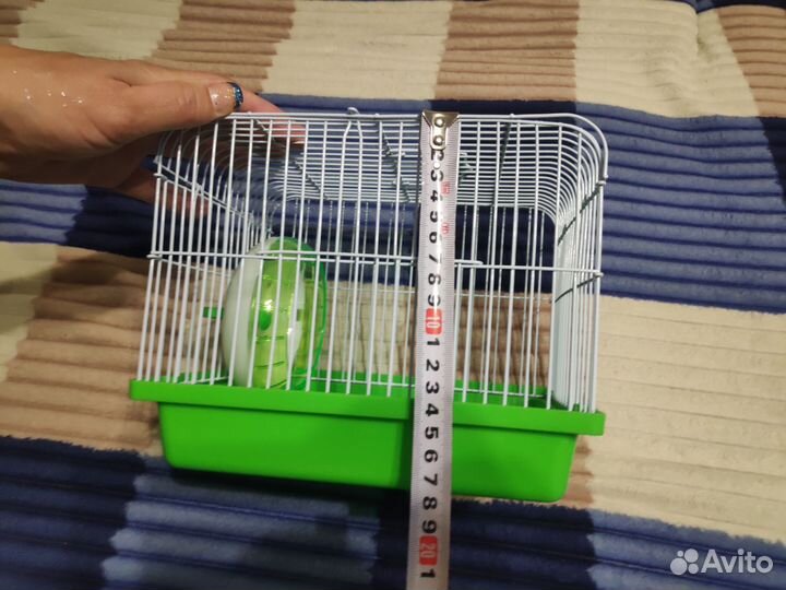 Клетка для джунгарского хомяка