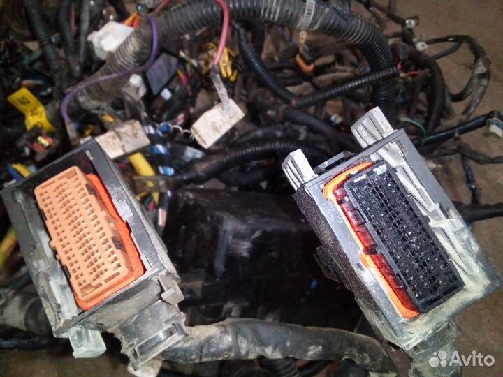 Проводка двигателя коса Chevrolet Aveo t т 200 1.4