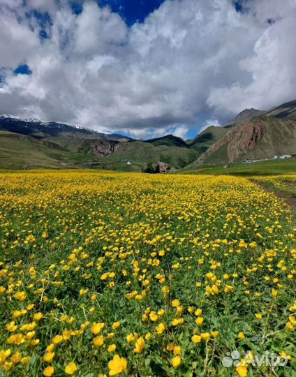 Экскурсии в горы Джилы-Су Бермамыт Домбай Эльбрус