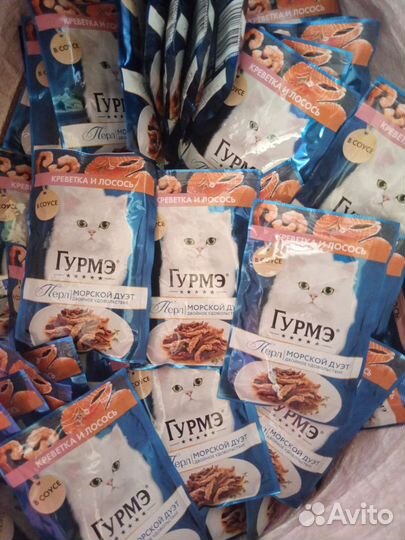 Корм для кошек