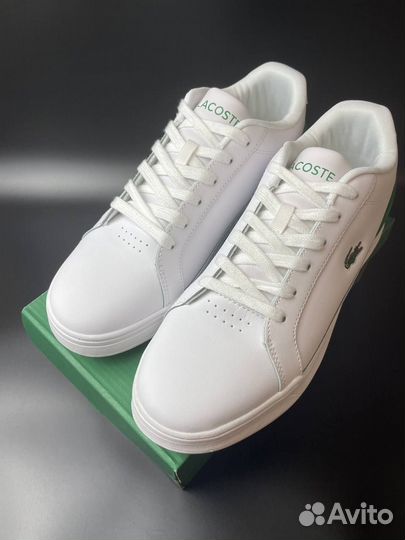 Lacoste кеды мужские