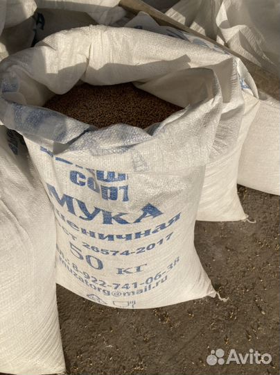 Пшеница в мешках по 40 кг