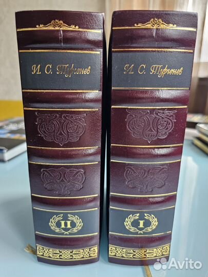 Тургенев И. С. Собрание сочинений в 2 томах
