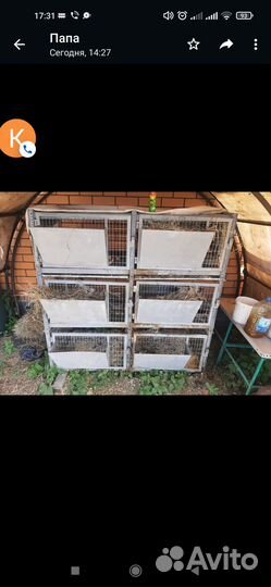 Клетки для кроликов бу