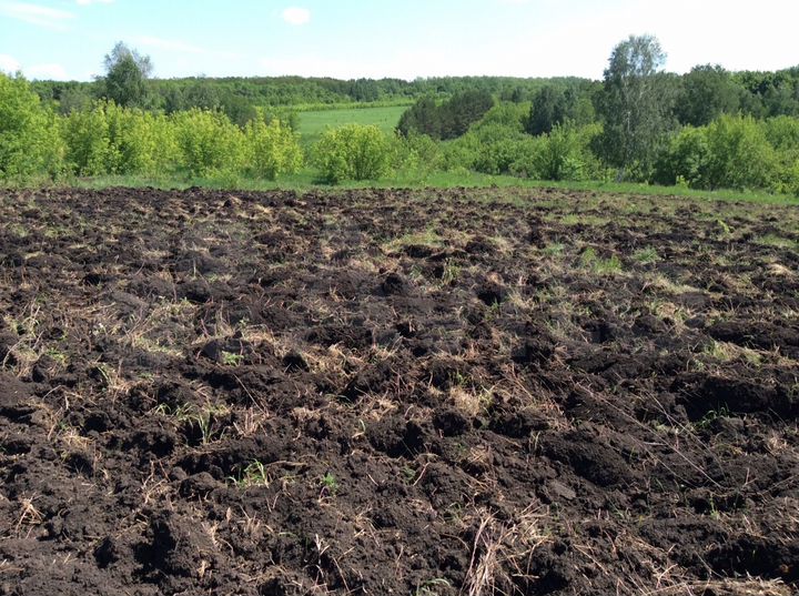 Участок 15 сот. (СНТ, ДНП)