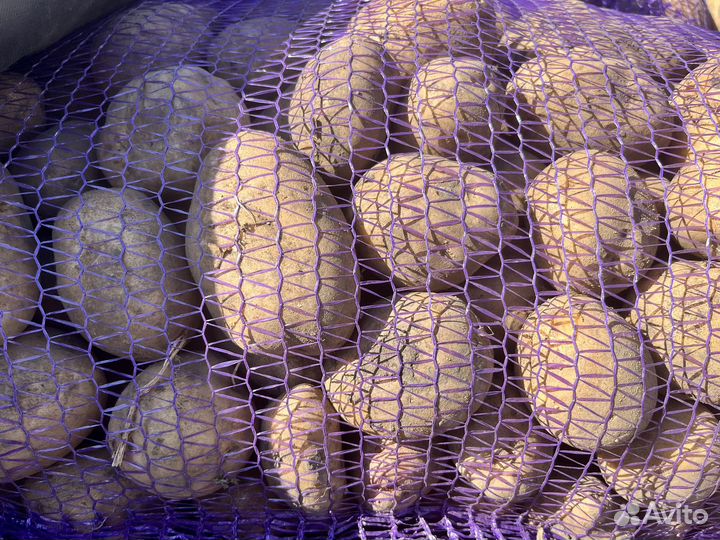 Продам картофель с доставкой