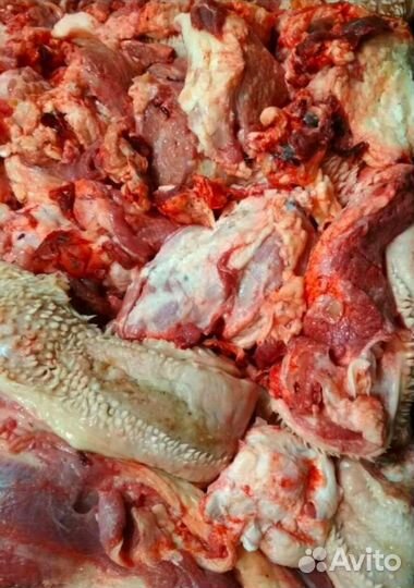 Свежее говяжье мясо для собак и кошек