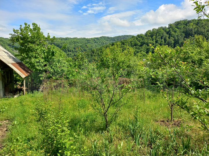 Дача 96 м² на участке 14 сот.