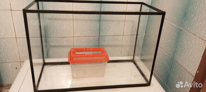 Аквариум и переноска