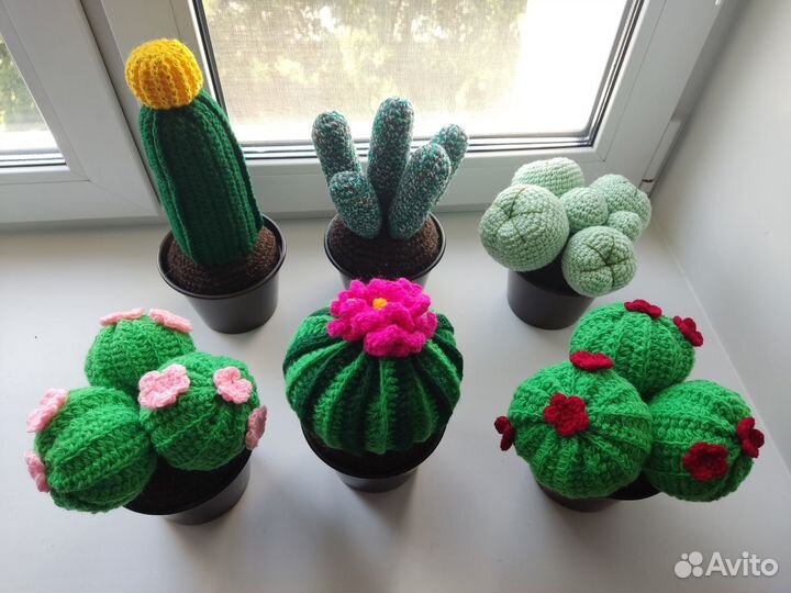 Кактусы и суккуленты вязаные