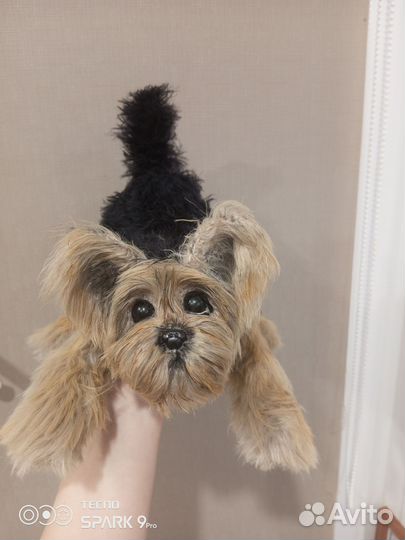 Кошки и собаки